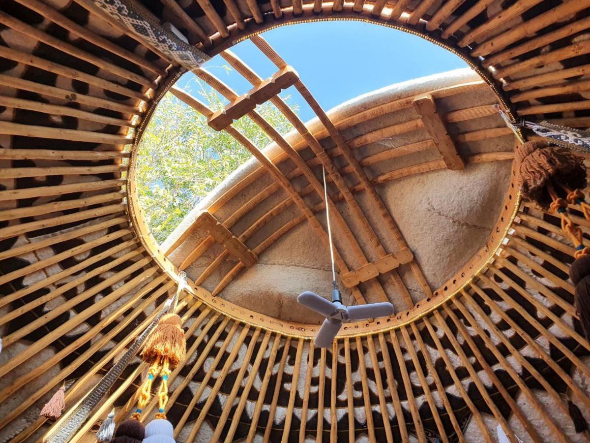 Agat Yurt Camp Bed & Breakfast Kaji-Say Exterior photo