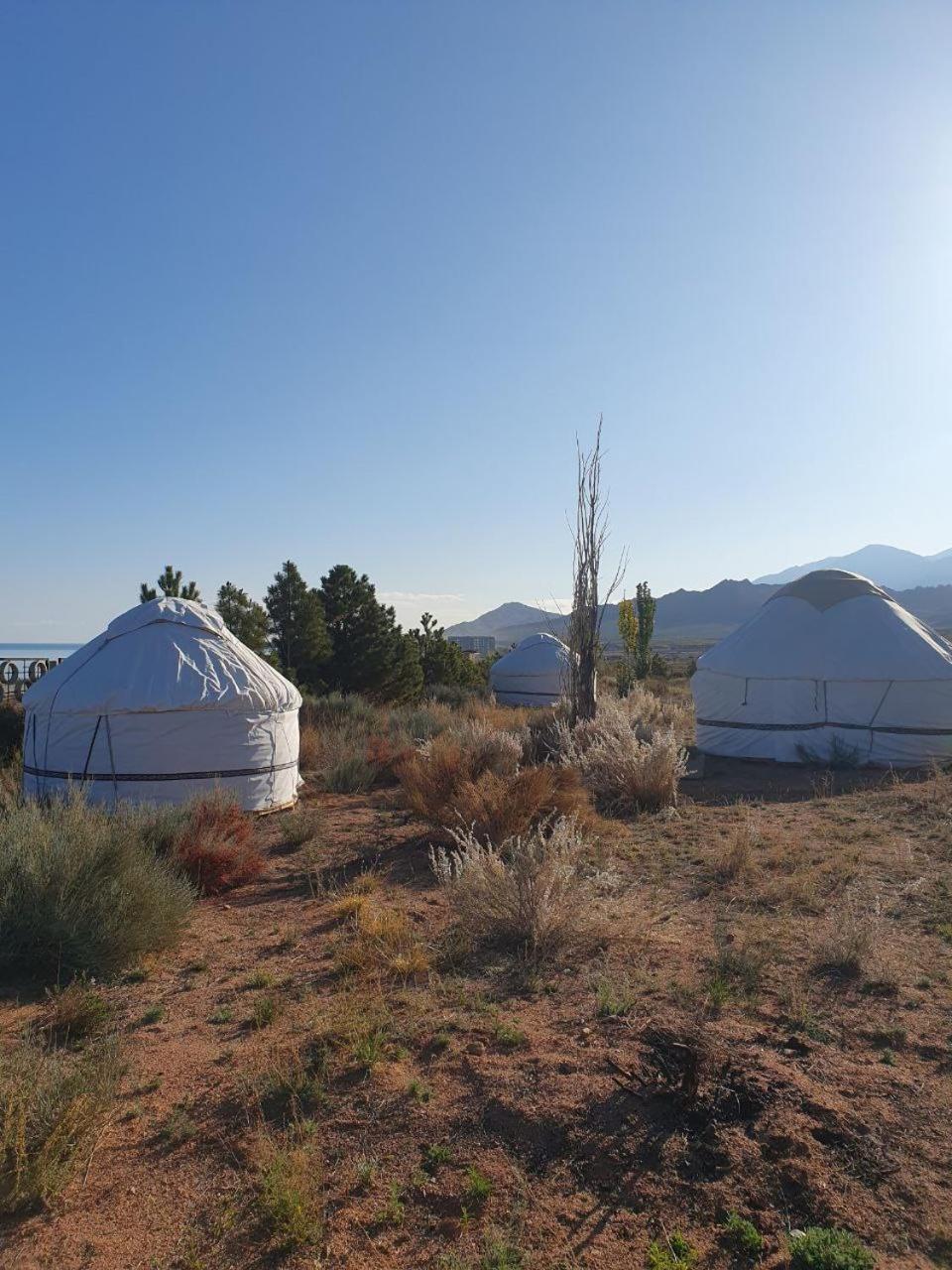 Agat Yurt Camp Bed & Breakfast Kaji-Say Exterior photo